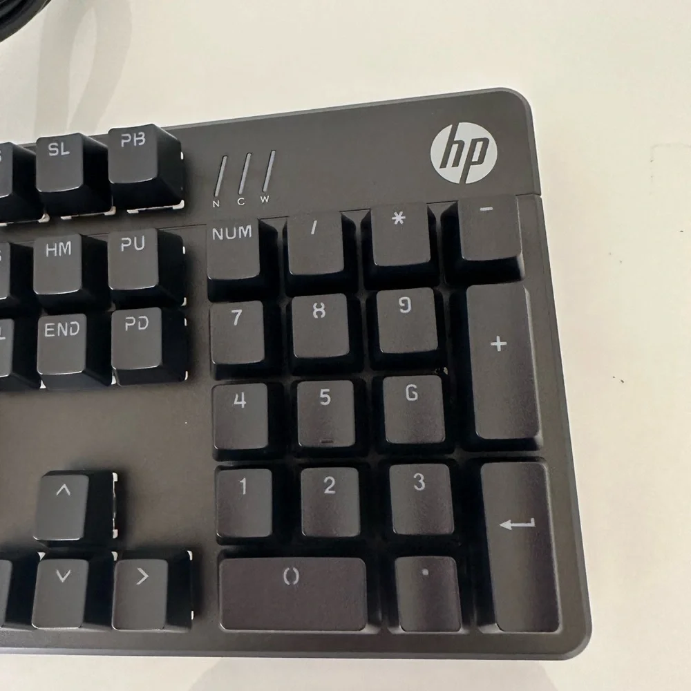 HP COMPUTER KEYBOARD MODEL HSA - D0O6K - NEW!